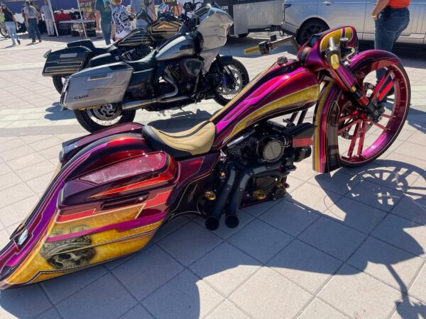 Sting Ray Bags Rear End For Touring Harley